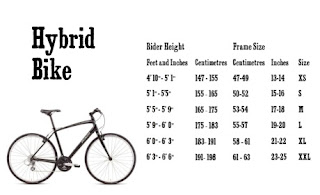 haibike frame sizes