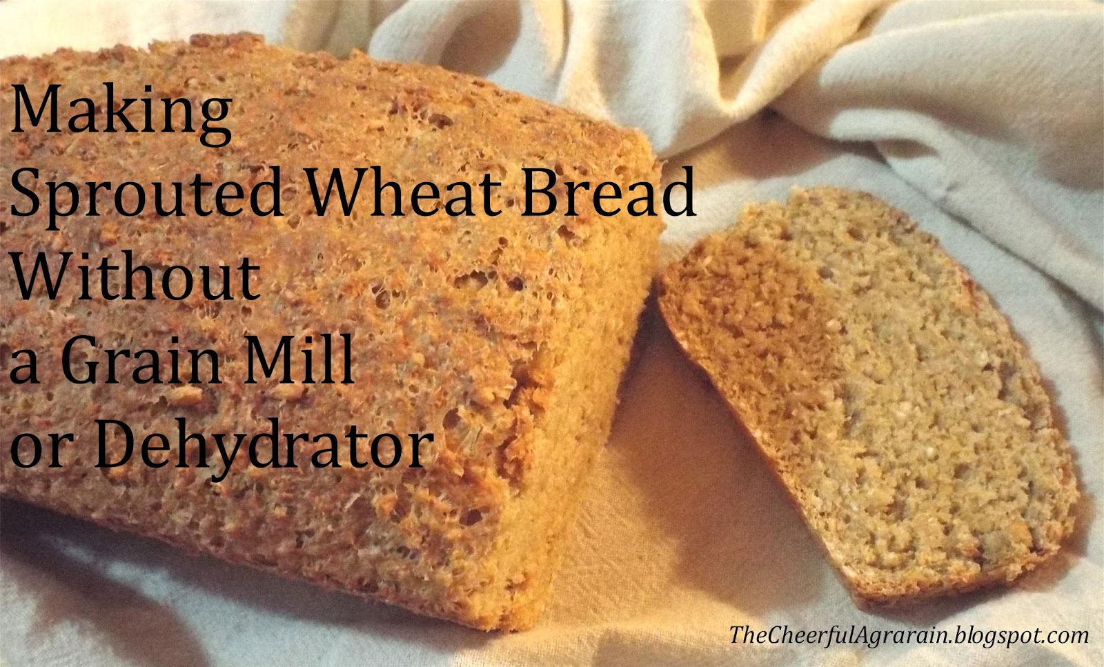 The Cheerful Agrarian Making Sprouted Wheat Bread Without a Grain Mill