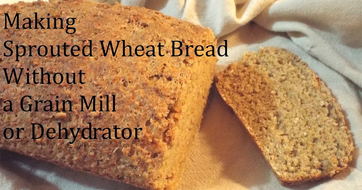 The Cheerful Agrarian Making Sprouted Wheat Bread Without a Grain Mill