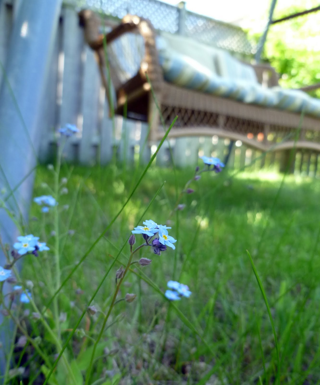 Sense and Simplicity: The Swing