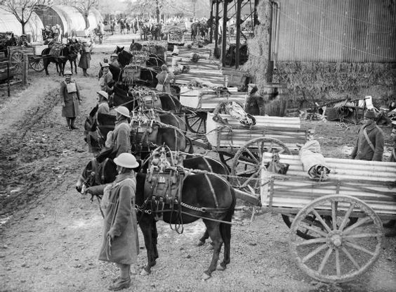 10 February 1940 worldwartwo.filminspector.com BEF mule transport company