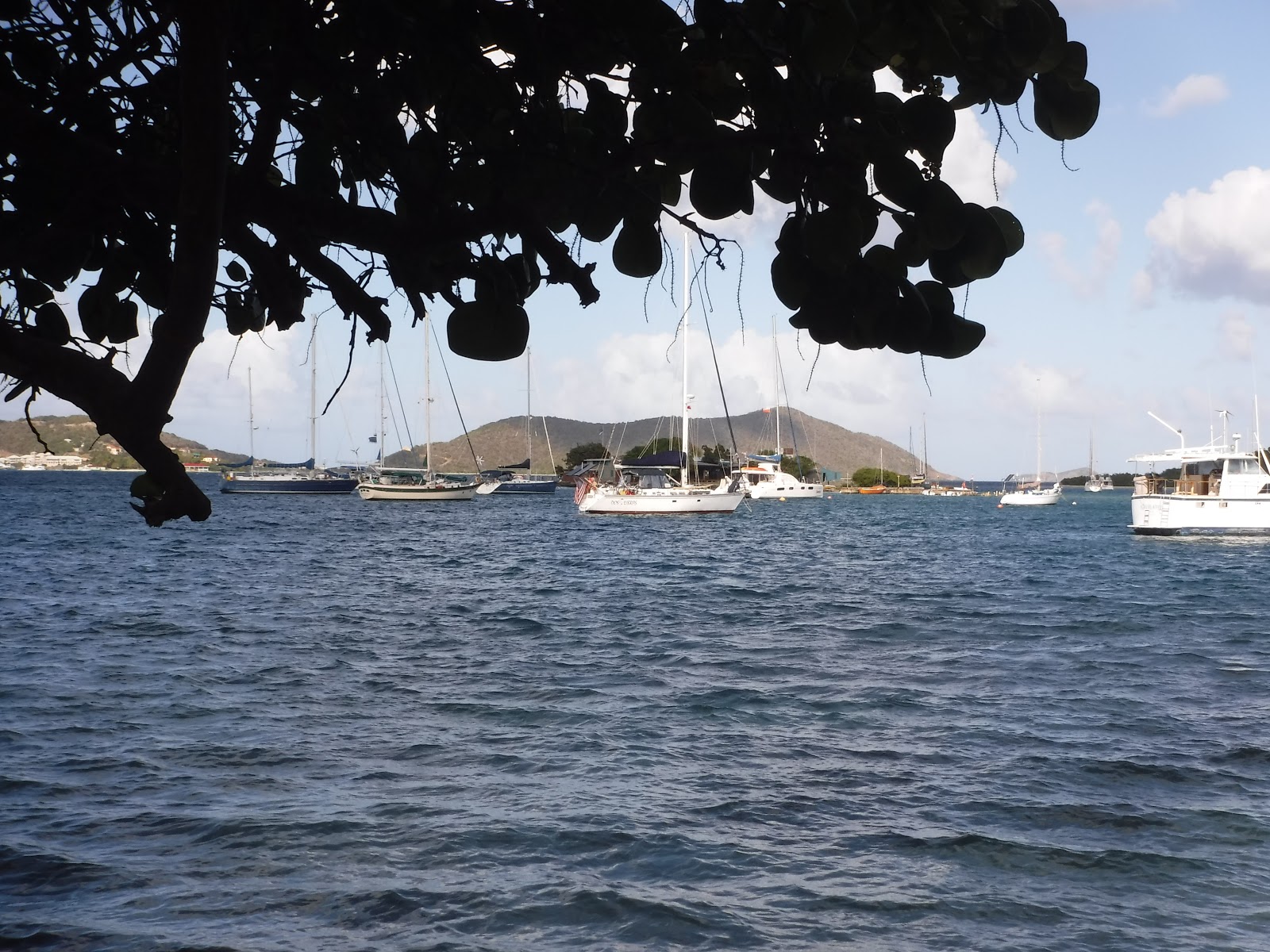 Things we did today... Expanding The Trellis Bay Experience