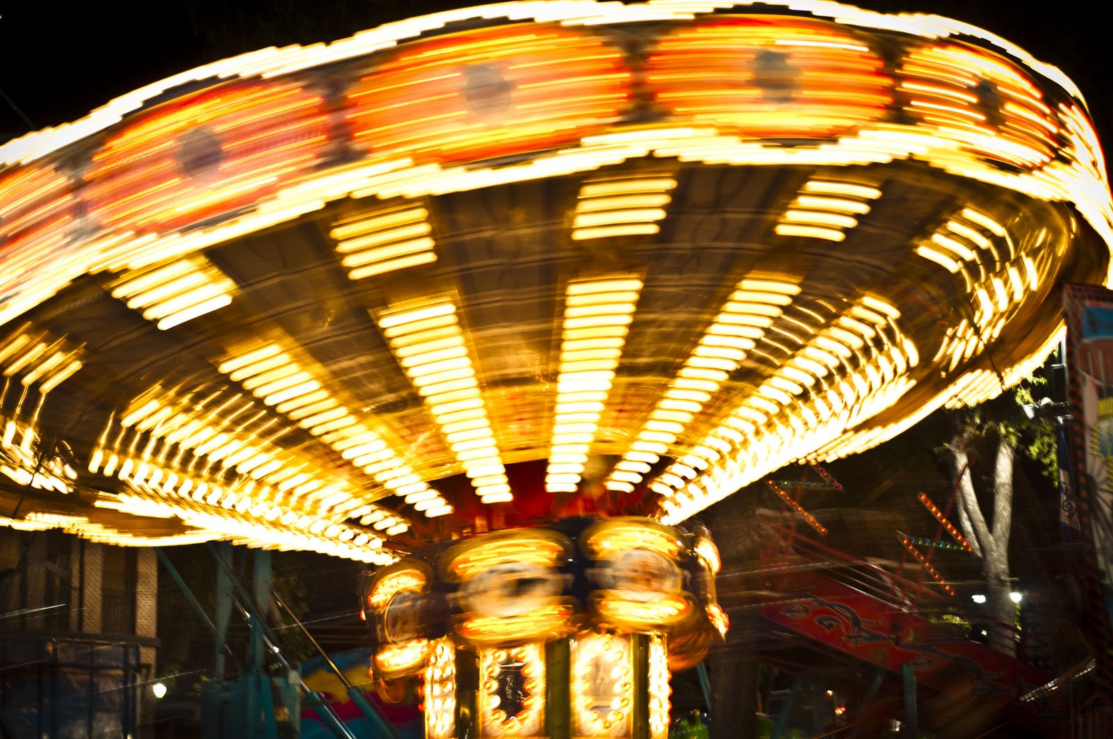 eric's photo dump South Carolina State Fair