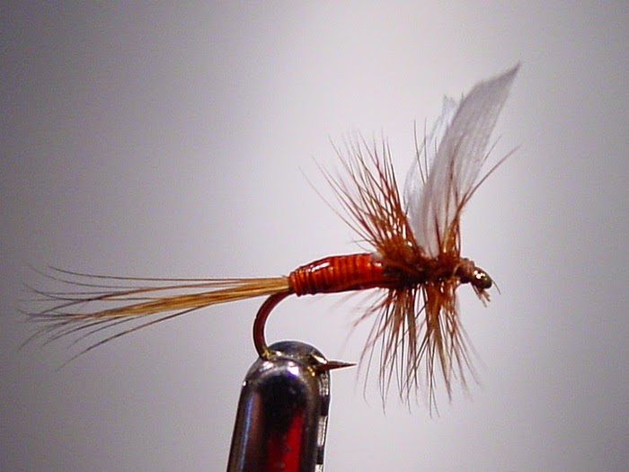 Tradd's Flies: Red Quill Dry Fly
