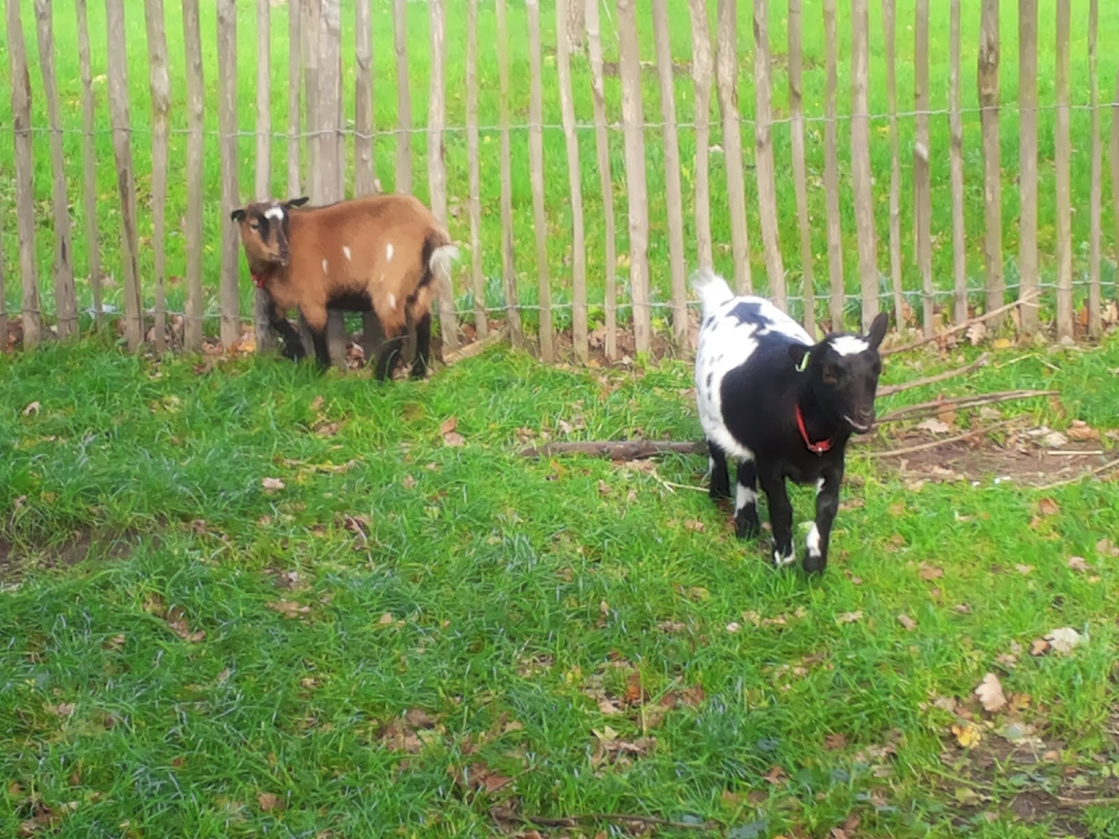 Inspiratie Blumzdesign Wie zoet is krijgt