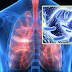 Here are the 5 Signs You Have Toxins Trapped In Your Body And Ways How To Cleanse it