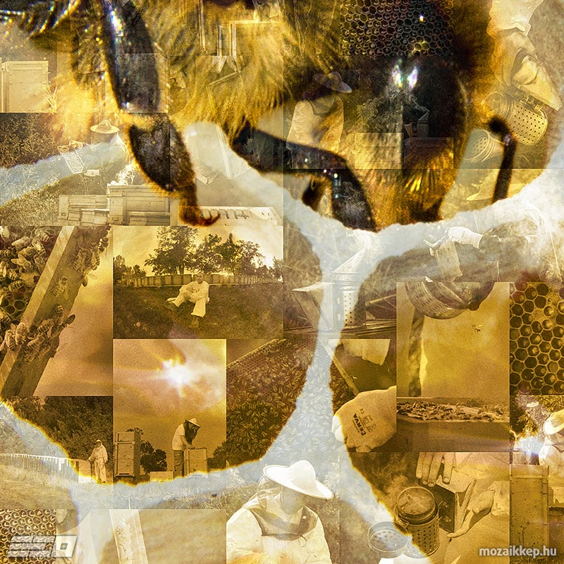 Hajdú Ervin Ottó - Méhecskés mozaik (részlet)