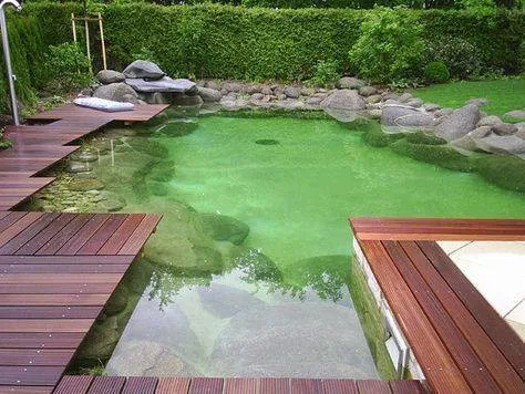 kolam ikan minimalis di pekarangan rumah