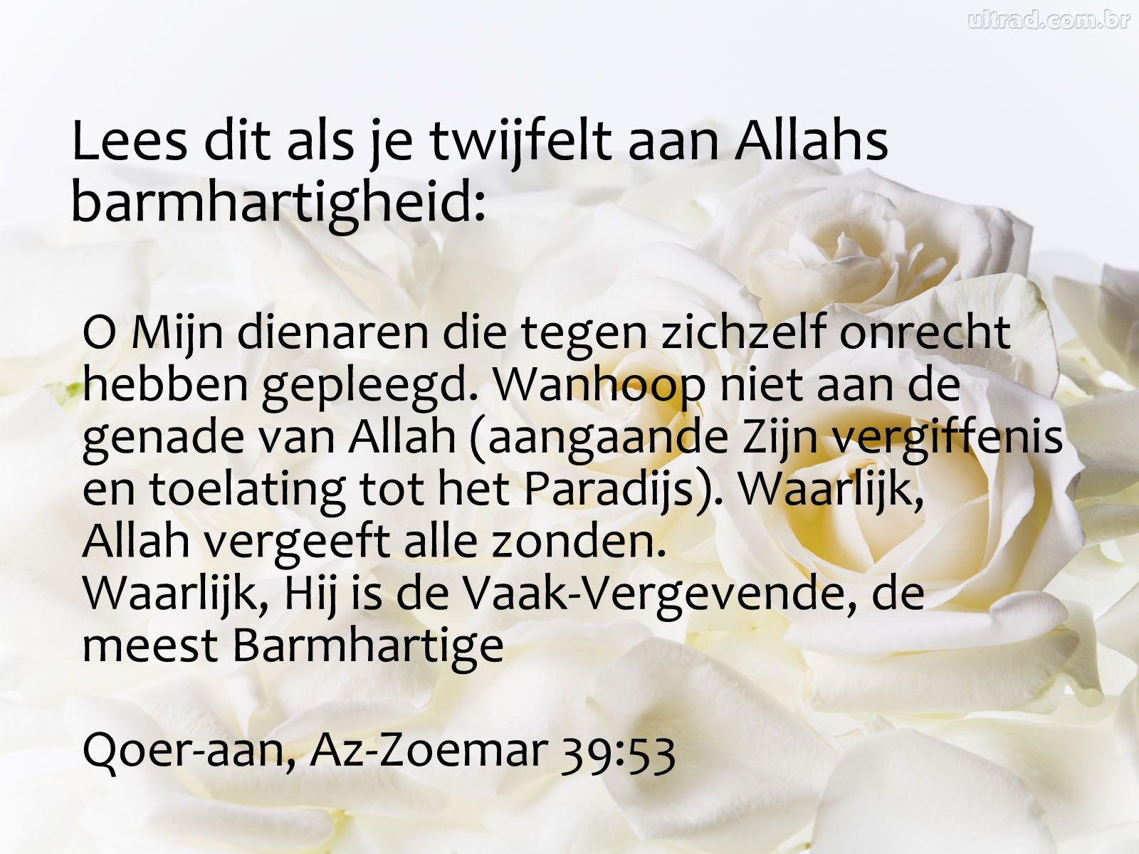 Citaten en Wijze Woorden uit de Islam Lees dit als je