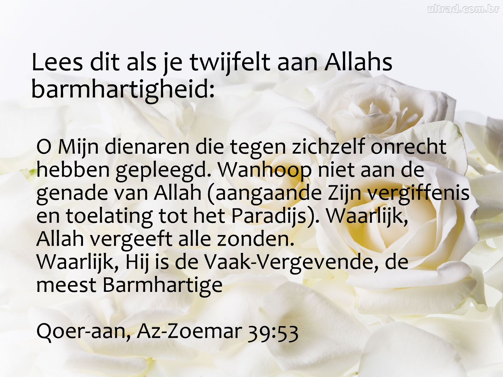 Citaten En Wijze Woorden Uit De Islam Lees Dit Als Je Twijfelt Aan