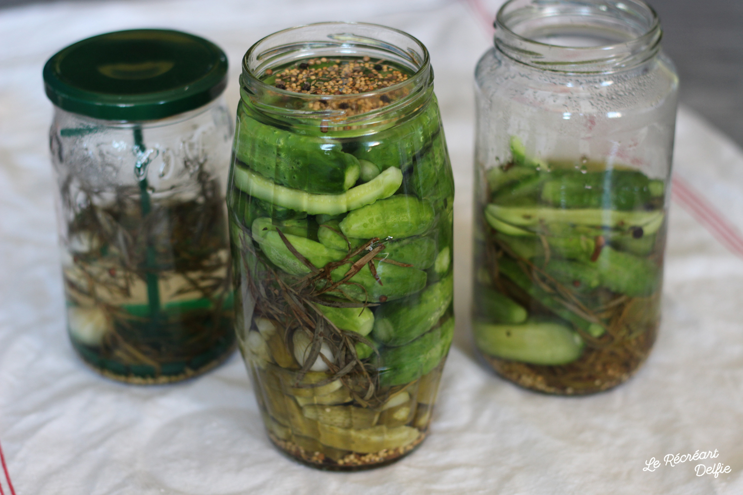 Conserves de Cornichons au vinaigre fait maison Le Récréart Delfie