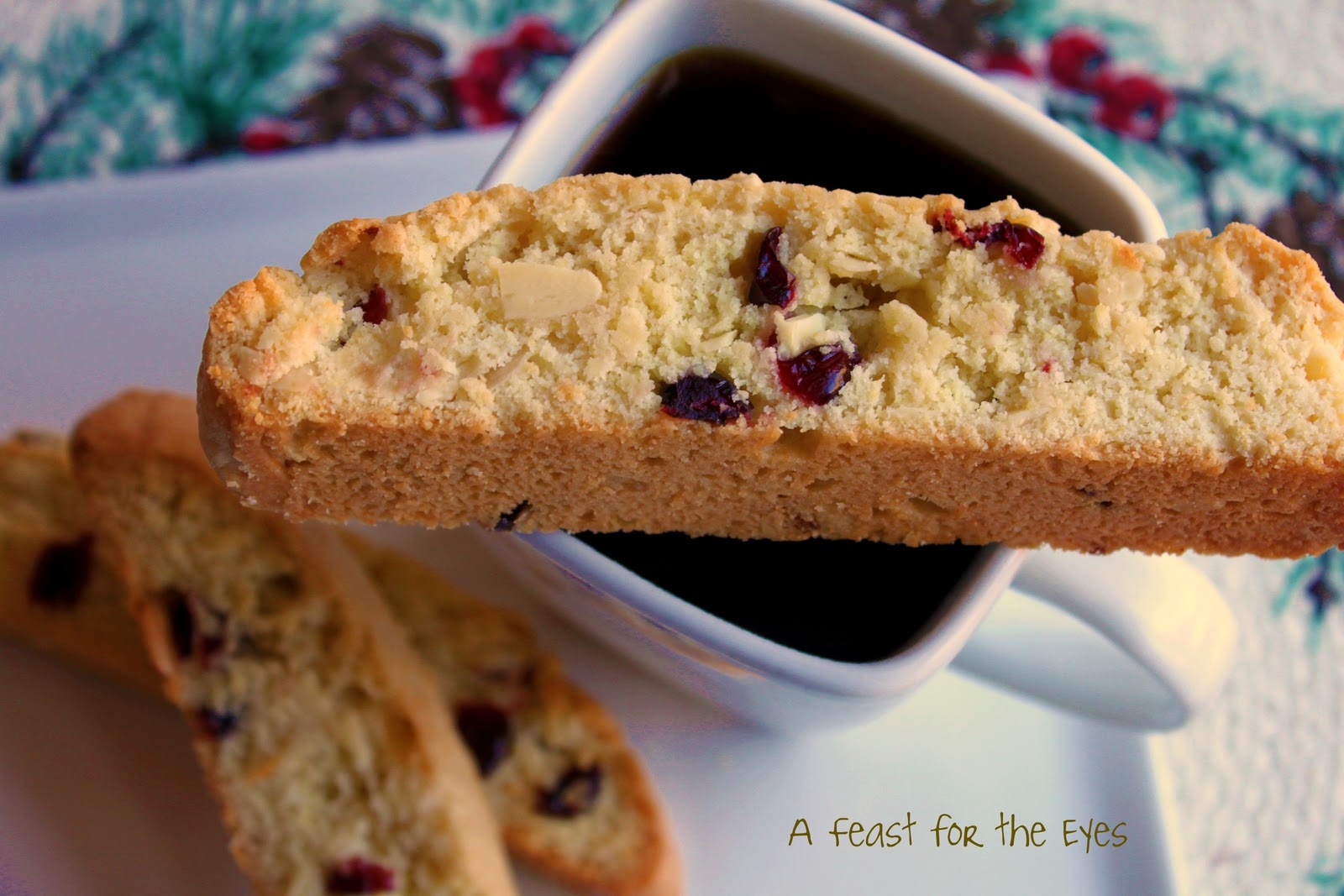Easy and Perfect Cranberry-Almond Biscotti - A Feast For The Eyes