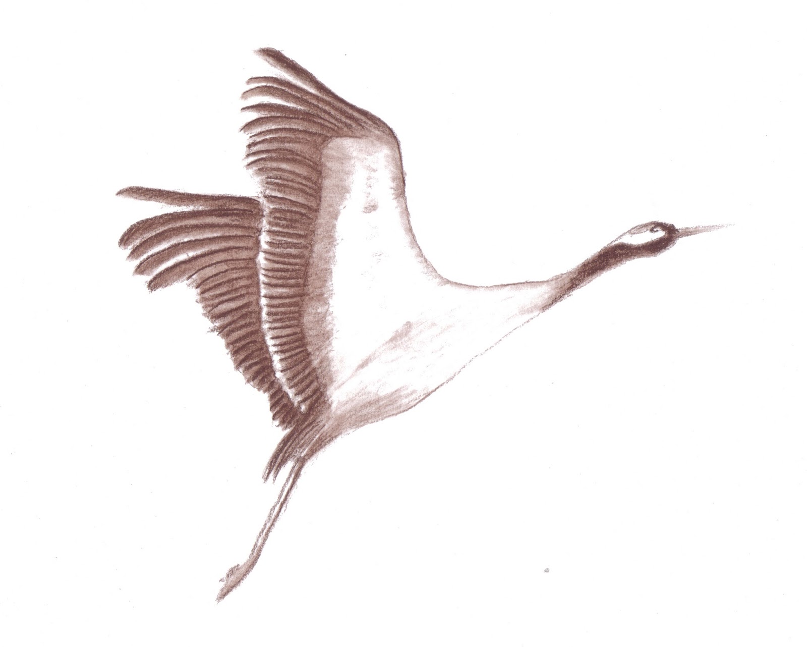 Prignitzer Kunstwerkstatt Auffliegender Kranich Prignitzer Kunstwerkstatt Auffliegender Kranich