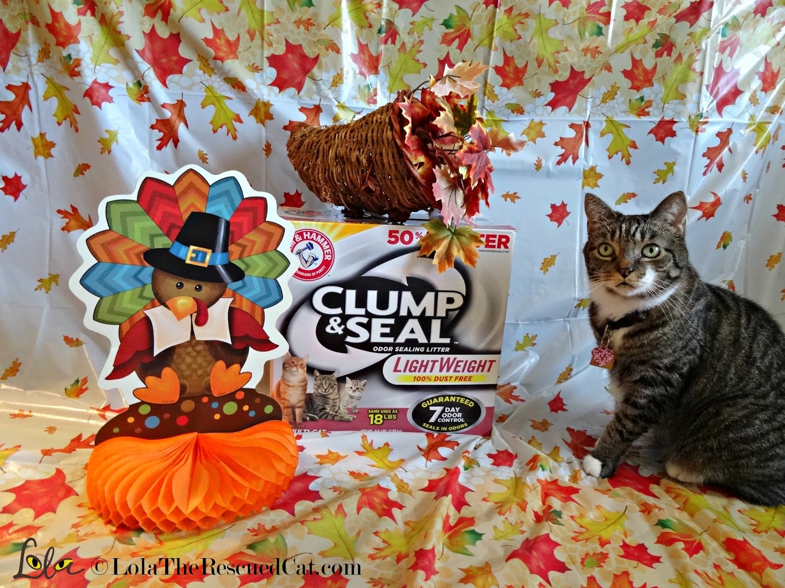 Get Your Home Ready for Guests With ARM & HAMMER CLUMP & SEAL™ 