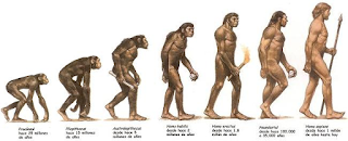 Resultado de imagen para hominización