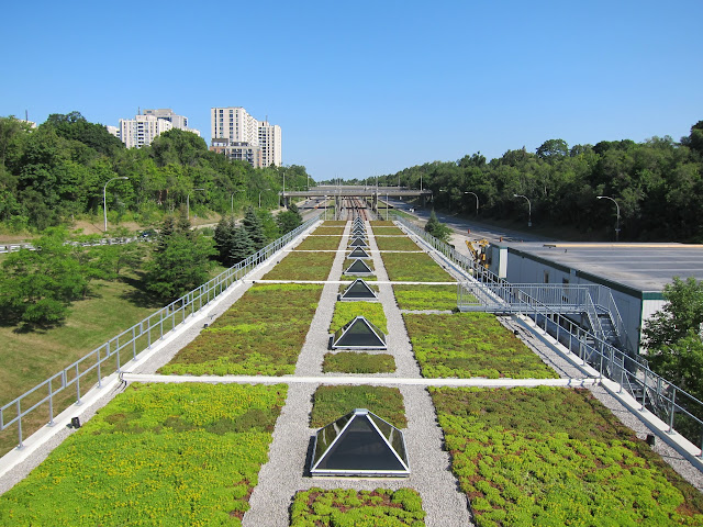 Eglinton West's green roof