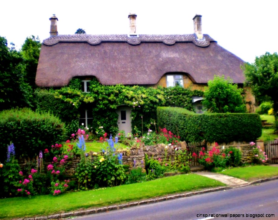 Country Cottage Wallpaper Hawaii Dermatology  Room Ideas