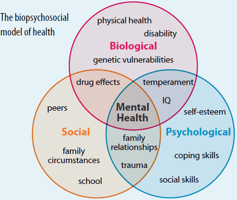 Markham's Behavioral Health: What is the bio-psycho-social model?
