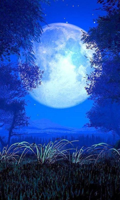 Android Phones Wallpapers: Android Wallpaper Beautiful Moon