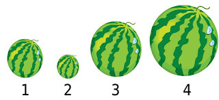 Soal UAS Matematika Kelas 1 SD Semester 1 (Ganjil) dan Kunci Jawaaban