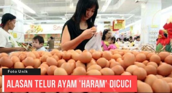 Mencuci Telur Ayam Sebelum Dimasukkan Kulkas, Ternyata Berbahaya Bagi Kesehatan Mencuci Telur Ayam Sebelum Dimasukkan Kulkas, Ternyata Berbahaya Bagi Kesehatan