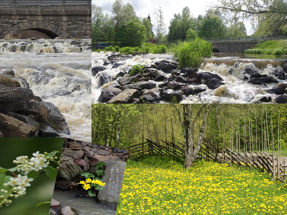 Reppuretkiä Myllyrannan vuodenajat Koski Tl