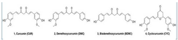 Chemical Structure of curcuminoids