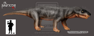 terapsidos del permico Charassognathus