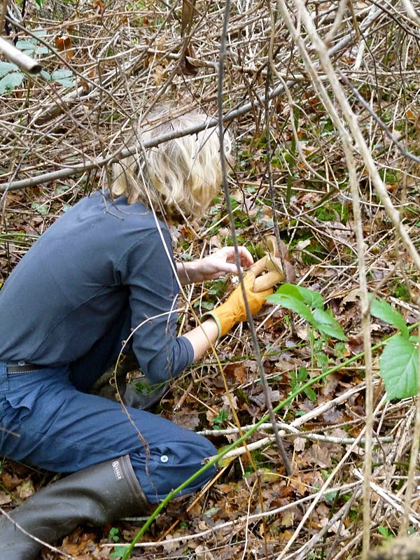 руки от маслят