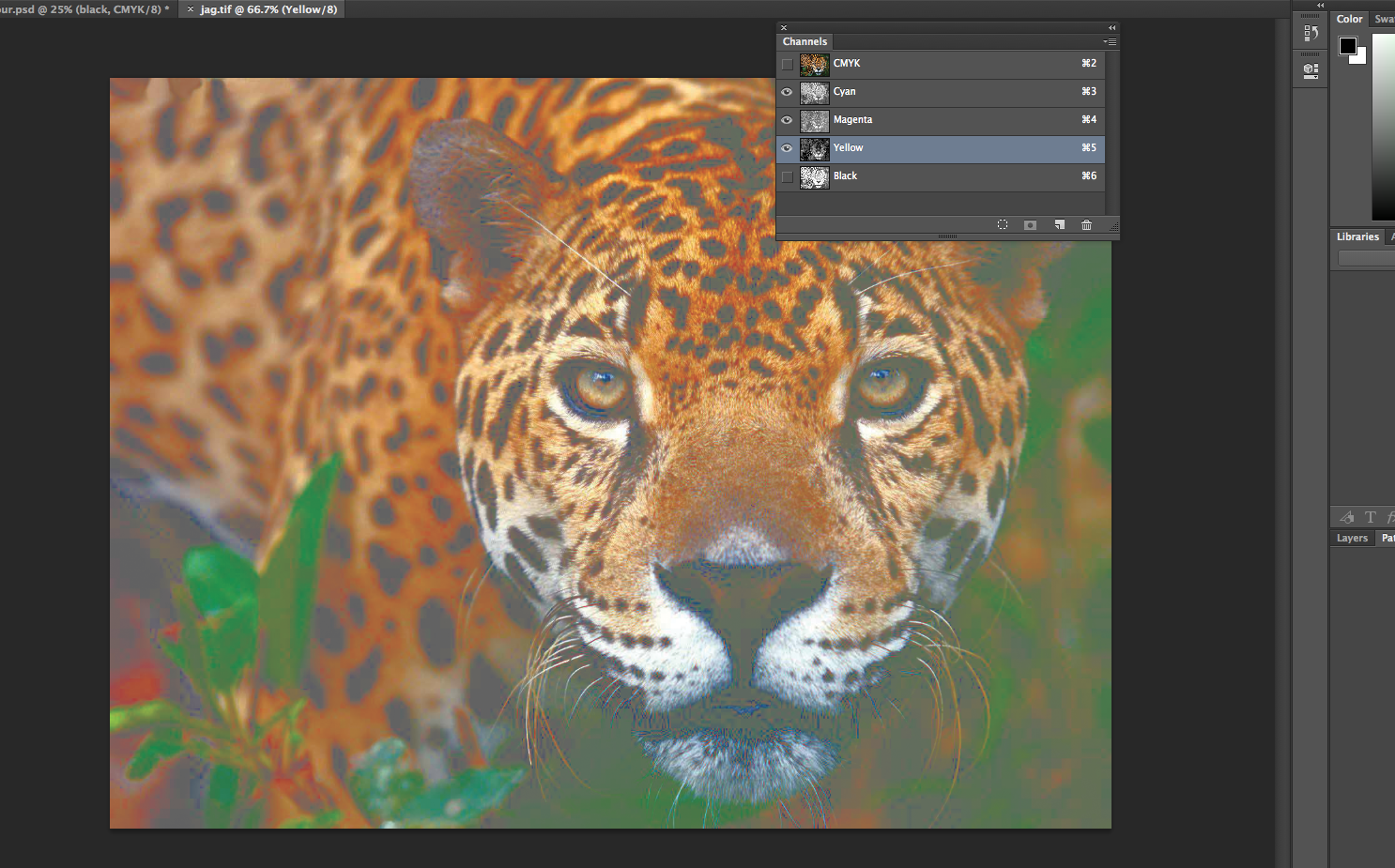 Studio Practice Digital Negatives For Screen Printing Part 1