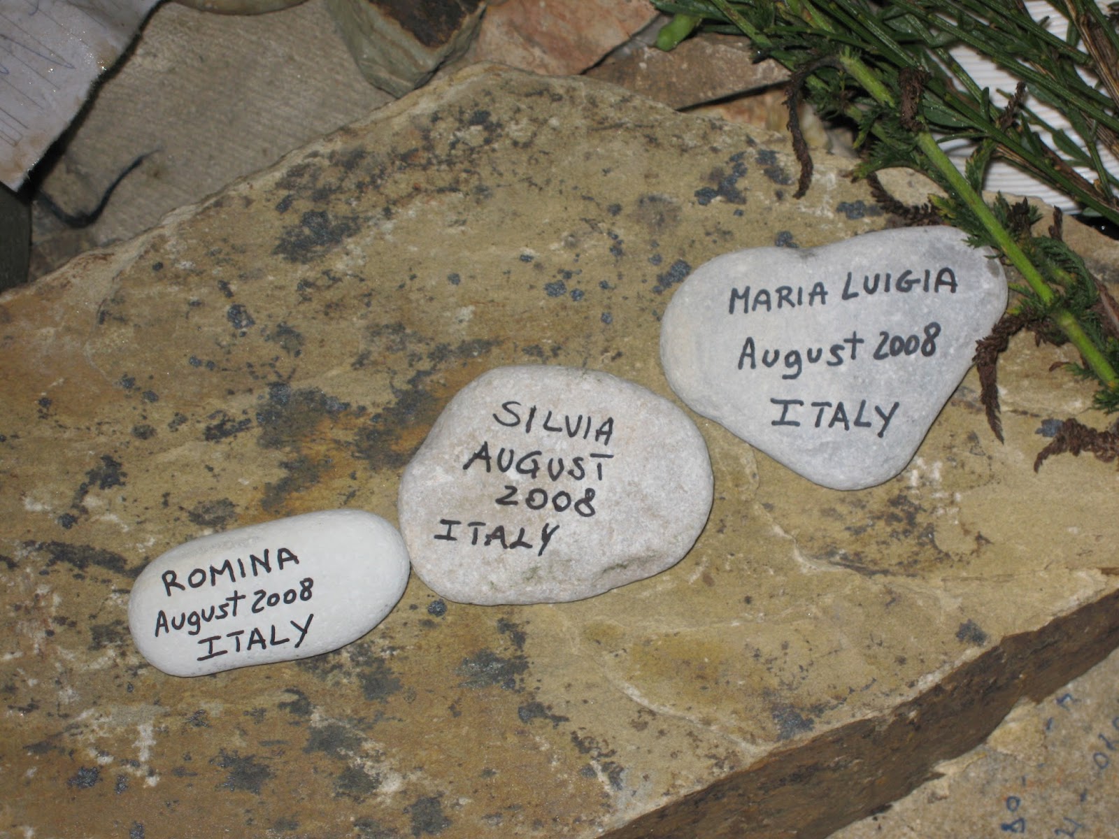 Trovare Compagni Per Il Cammino Di Santiago 2022