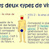 Herpès génital : symptômes et traitements