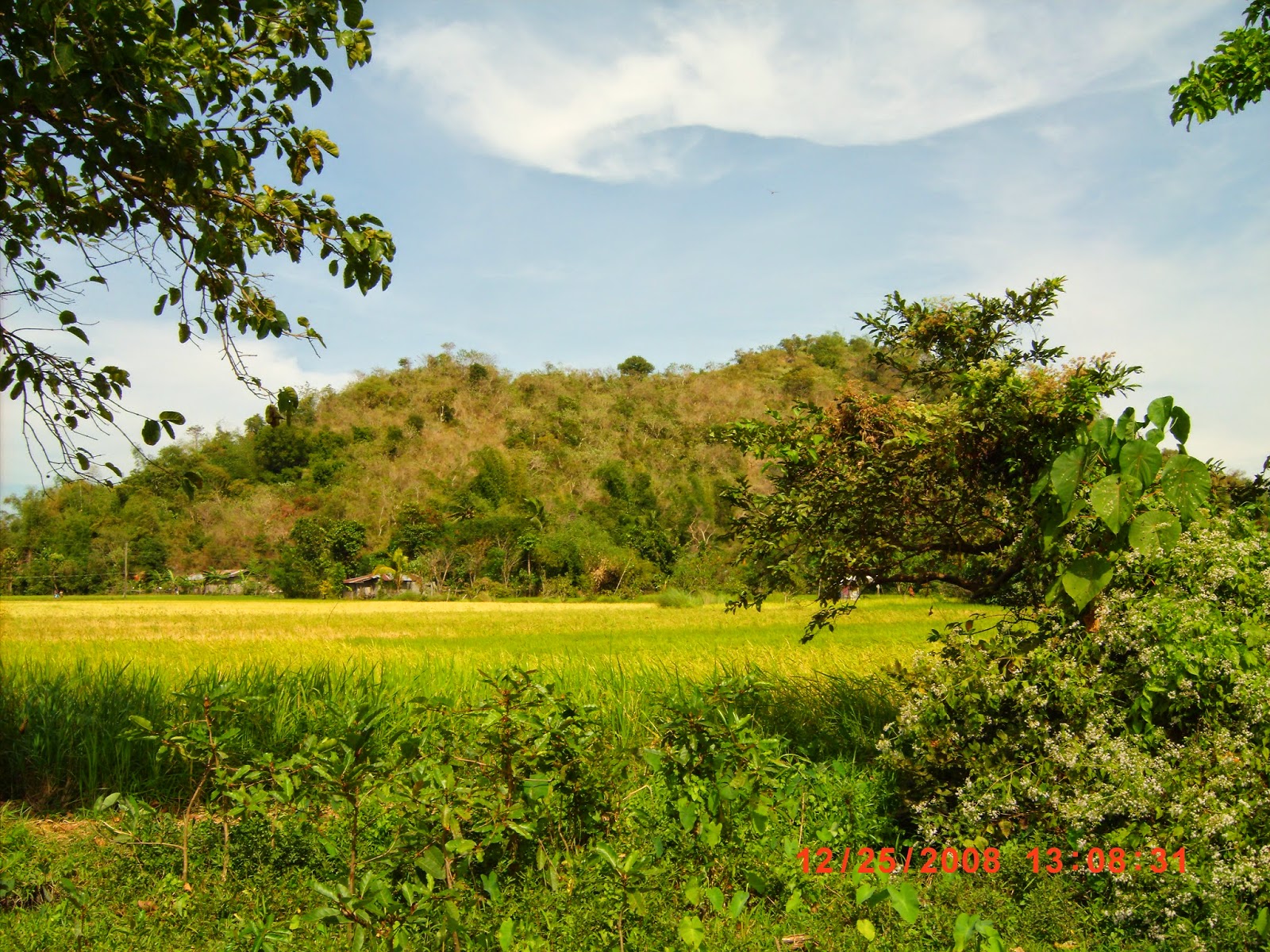 Mas Maliket Diad Pangasinan