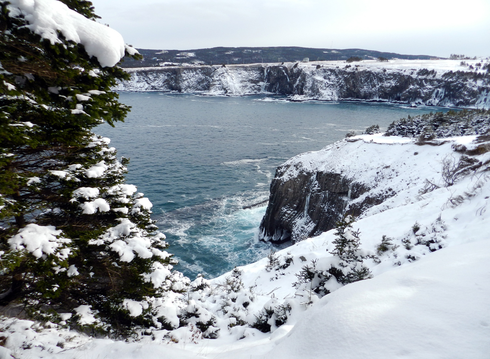 Elfshot Snowshoeing the East Coast Trail