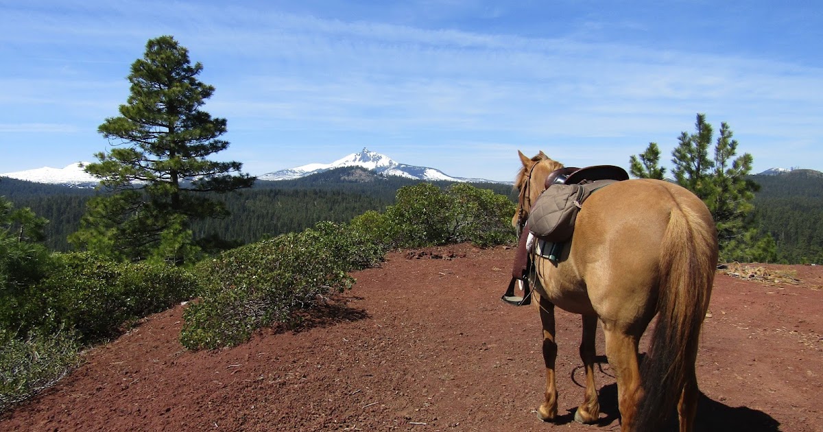 Holly's Horse Tales and Trails Graham Corral Horse Camp, Deschutes National Forest, Oregon