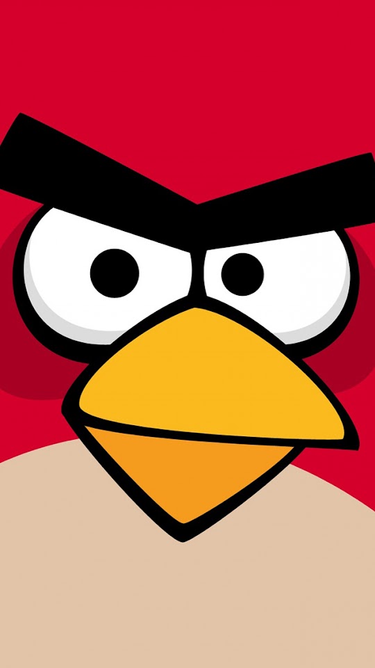 Angry Birds  Galaxy Note HD Wallpaper