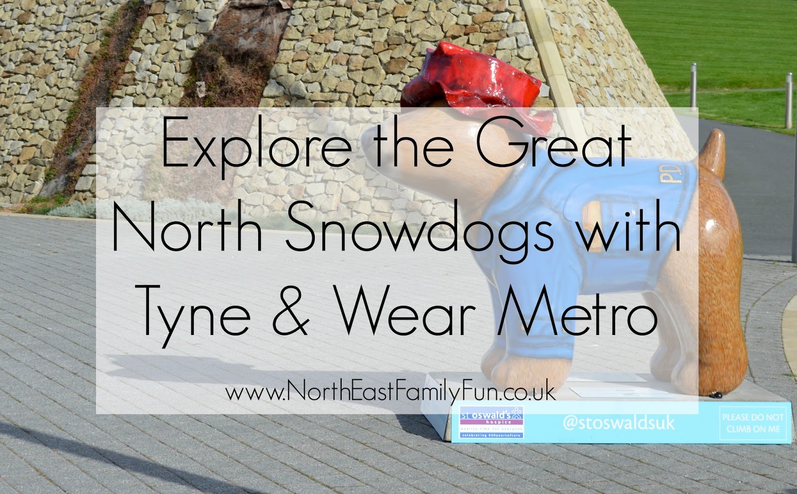 Are Dogs Allowed On Metro North