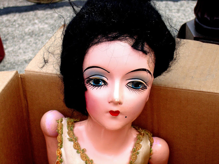 Lost Dolls, The Hidden Lives of Toys