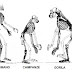 De acordo com novo estudo, o ancestral comum entre humanos e outros grandes primatas era menor do que o pensado
