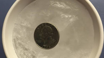 coin on the ice, tips while travelling, home safety while on holidays, food safety, coin in fridge
