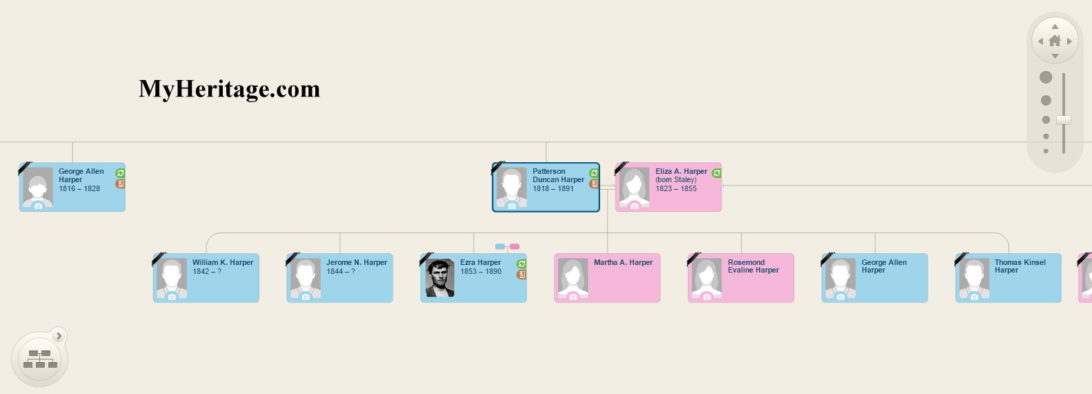 33 MyHeritage Alternatives and Competitors in 2024 Progsoft