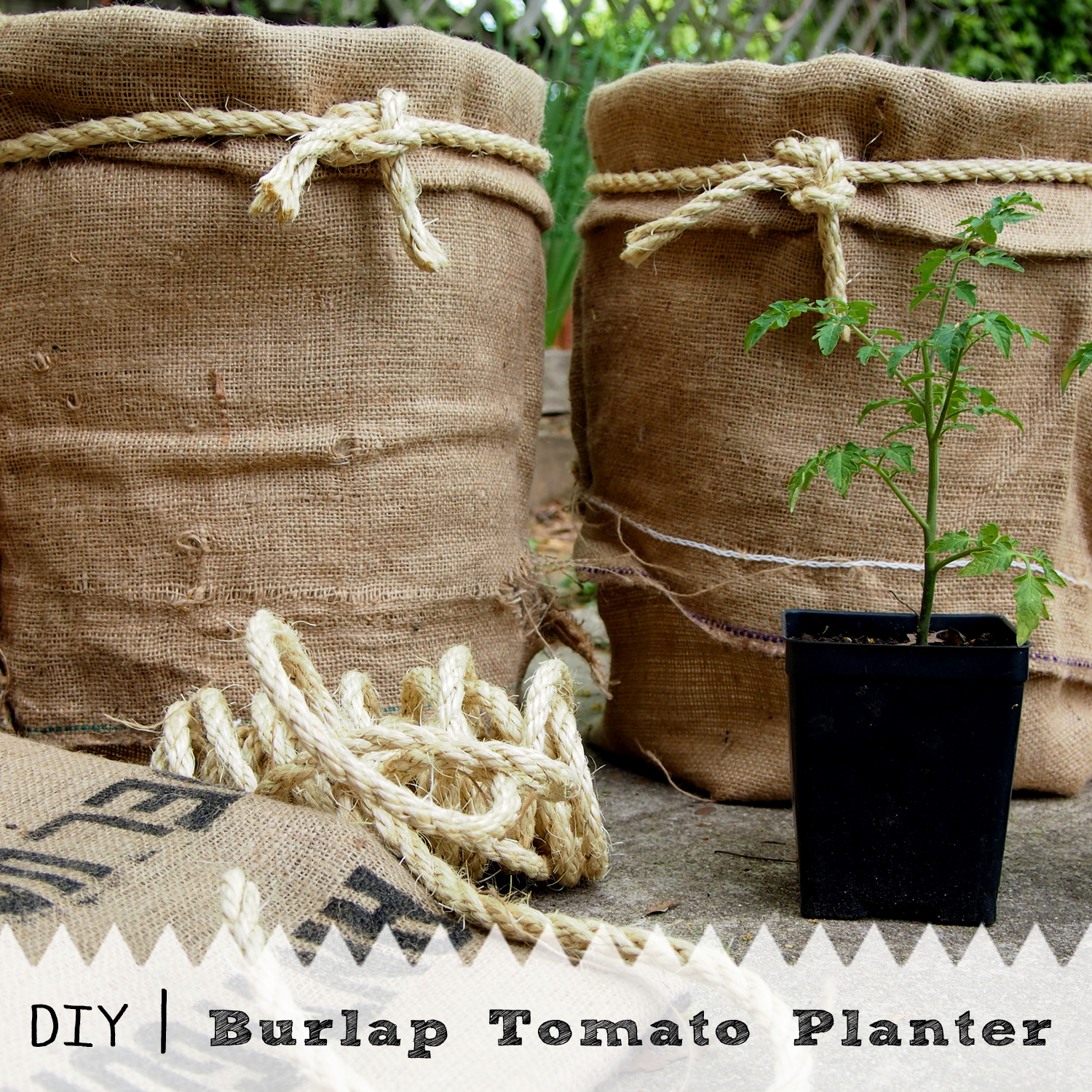 On High Occasions DIY Burlap Tomato Planter
