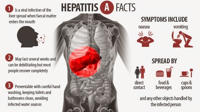  Hepatitis A  How is hepatitis A spread? Hepatitis A is spread primarily through food or water contaminated by feces from an infected person. Rarely, it spreads through contact with infected blood.  Who is at risk for hepatitis A? People most likely to get hepatitis A are • international travellers, particularly those travelling to developing countries • people who live with or have sex with an infected person • people living in areas where children are not routinely vaccinated against hepatitis A, where outbreaks are more likely • day care children and employees, during outbreaks • men who have sex with men • users of illicit drugs  How can hepatitis A be prevented? The hepatitis A vaccine offers immunity to adults and children older than age 1. The Centres for Disease Control and Prevention recommends routine hepatitis A vaccination for children aged 12 to 23 months and for adults who are at high risk for infection. Treatment with immune globulin can provide short-term immunity to hepatitis A when given before exposure or within 2 weeks of exposure to the virus. Avoiding tap water when travelling internationally and practicing good hygiene and sanitation also help prevent hepatitis A.  Hepatitis A Homeopathy Treatment  Symptomatic Homeopathy works well for Hepatitis, So its good to consult a experienced Homeopathy physician without any hesitation.     Whom to contact for Hepatitis A Treatment  Dr.Senthil Kumar Treats many cases of Hepatitis, In his medical professional experience with successful results. Many patients get relief after taking treatment from Dr.Senthil Kumar.  Dr.Senthil Kumar visits Chennai at Vivekanantha Homeopathy Clinic, Velachery, Chennai 42. To get appointment please call 9786901830, +91 94430 54168 or mail to consult.ur.dr@gmail.com,    For more details & Consultation Feel free to contact us. Vivekanantha Clinic Consultation Champers at Chennai:- 9786901830  Panruti:- 9443054168  Pondicherry:- 9865212055 (Camp) Mail : consult.ur.dr@gmail.com, homoeokumar@gmail.com   For appointment please Call us or Mail Us  For appointment: SMS your Name -Age – Mobile Number - Problem in Single word - date and day - Place of appointment (Eg: Rajini – 30 - 99xxxxxxx0 – Hepatitis, – 21st Oct, Sunday - Chennai ), You will receive Appointment details through SMS
