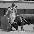 João d'Alva vence prémio em Vila Franca - as imagens