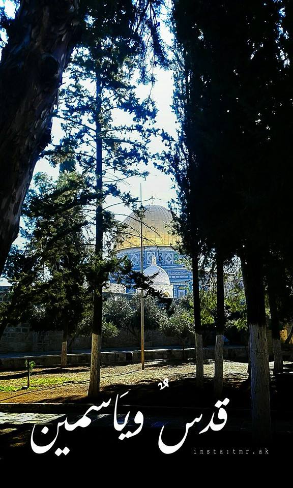 صور عن القدس عاصمة فلسطين الابديه اجمل صور واجمل الاشعار واروع التوبيكات عن القدس الحبيب