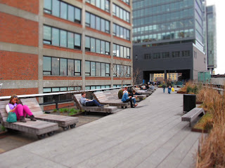 New York _High Line