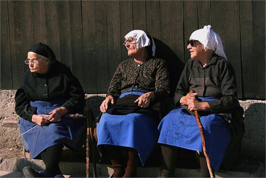 Три бабки на лавочке смешные картинки