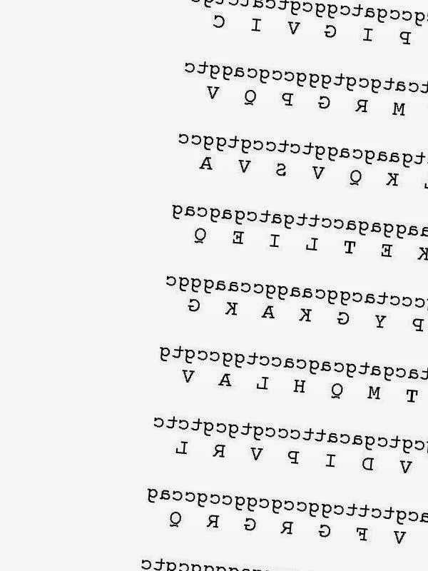 Forum Of Downloading: ZIPHONE DOWNLOAD FOR WINDOWS by Cruz