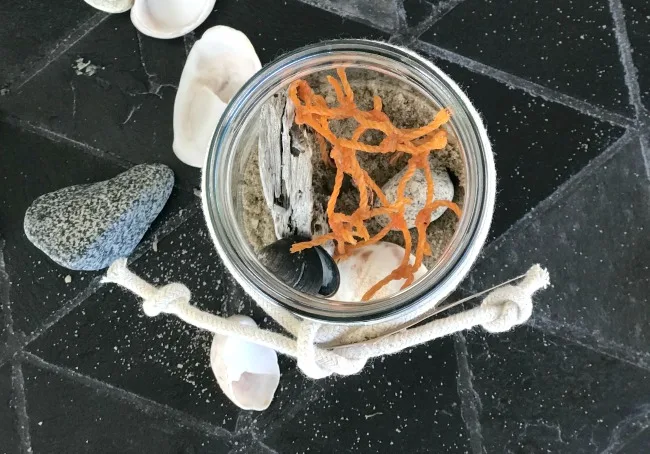 Making a Beach in a Jar Vacation Souvenir