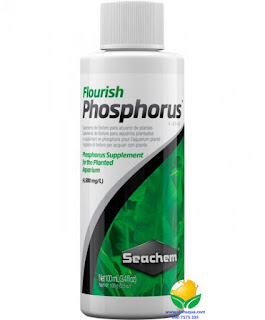 Dung dịch dưỡng cây thủy sinh Excel Phosphorus